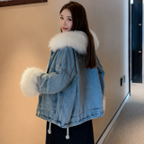 Donna - Giacca in denim - Rivestimento in pelliccia sintetica